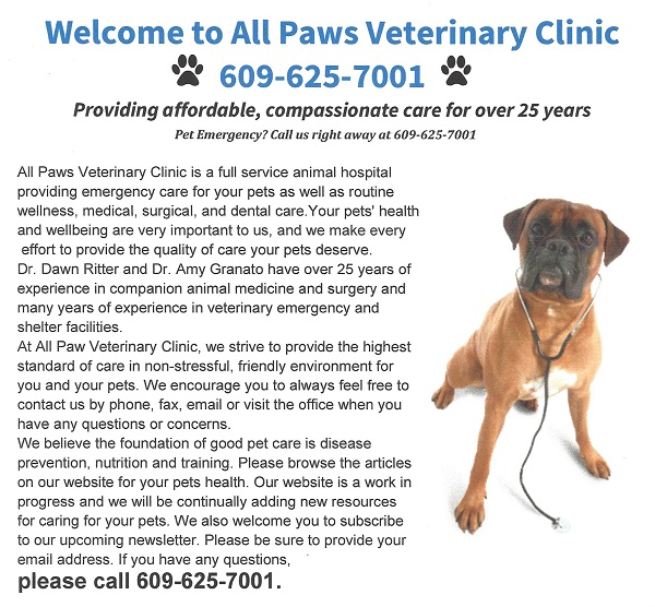 all paws pet emergency hospital